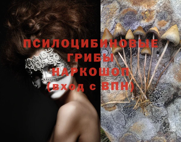 мдма Дмитриев