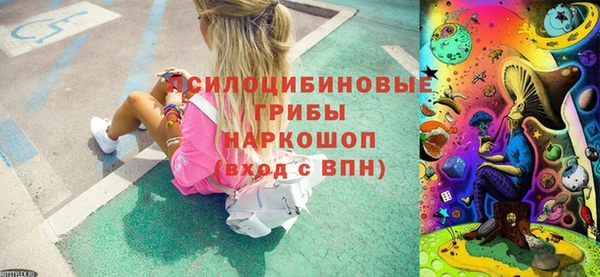 кокс Дмитровск