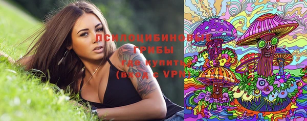 мдма Дмитриев