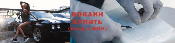 СК Дмитров