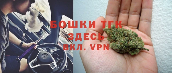 СК Дмитров