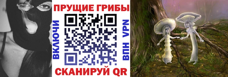 Галлюциногенные грибы Cubensis  Купить закладки  Избербаш 